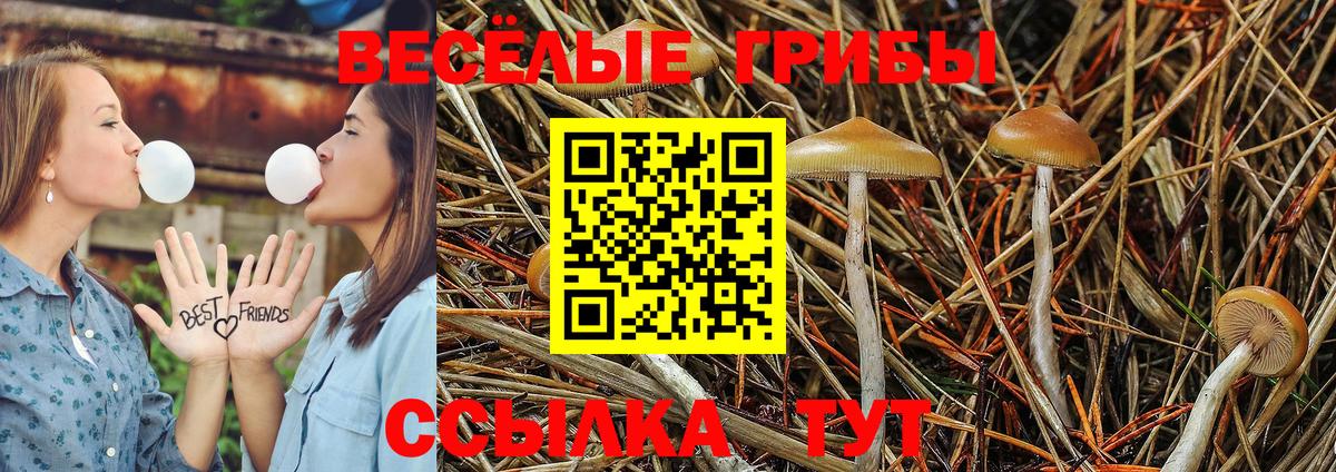 Гашиш  КОКАИН  Тында  ГЕРОИН  Бошки Шишки  ЭКСТАЗИ  ГАШИШ  Кодеин  Меф МЯУ МЯУ   КЕТАМИН 