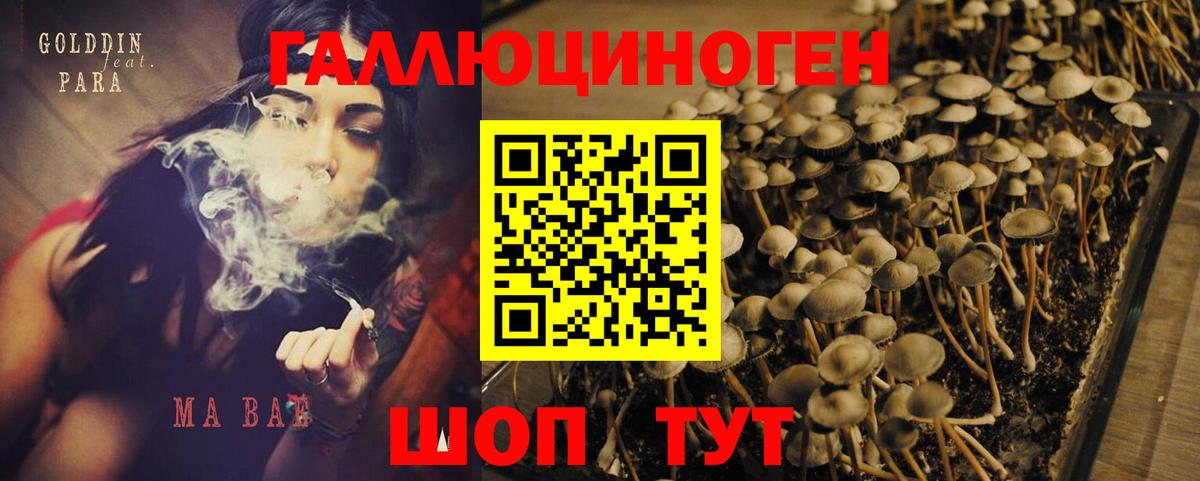 Псилоцибиновые грибы Magic Shrooms  Галлюциногенные грибы MAGIC MUSHROOMS  Тында 