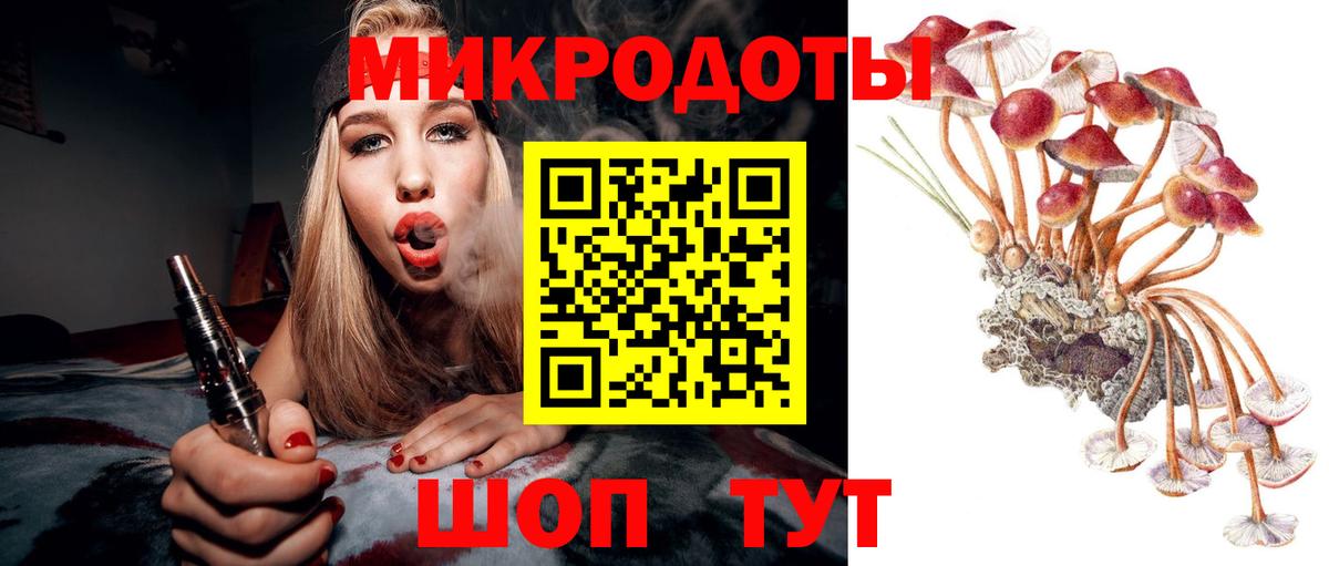 Тында  Псилоцибиновые грибы мухоморы  Вход с VPN  Галлюциногенные грибы мицелий 