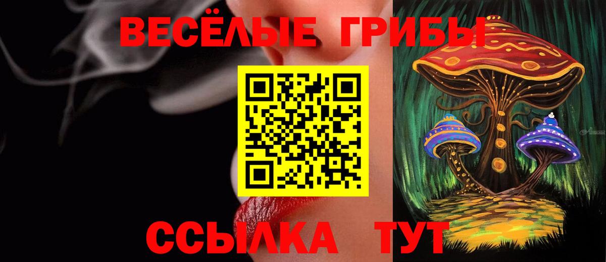 Галлюциногенные грибы MAGIC MUSHROOMS Тында