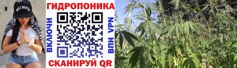 Марихуана семена Тында