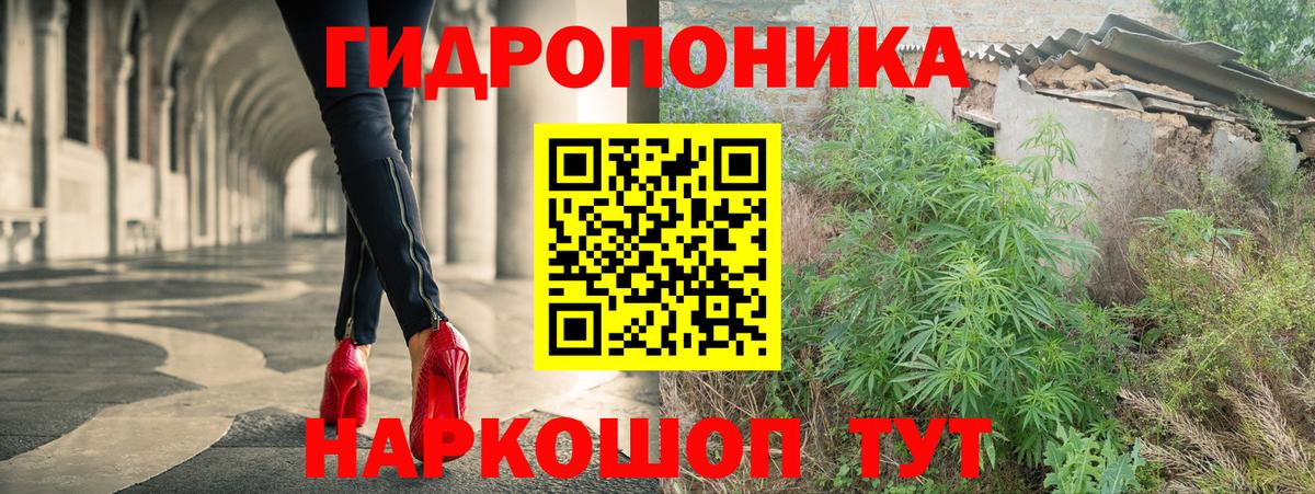 Канабис план Тында